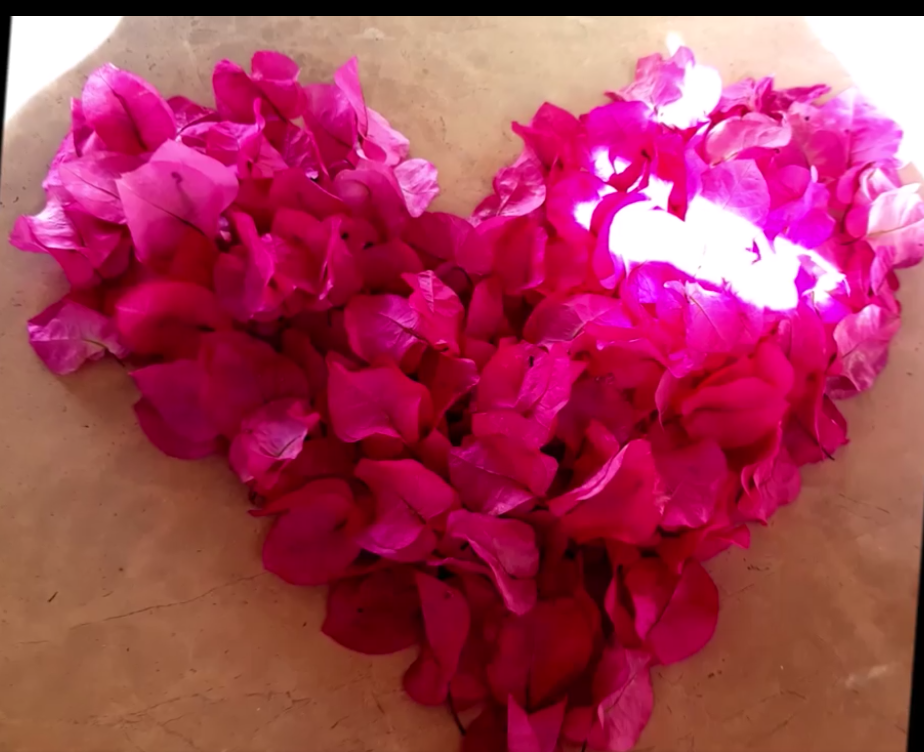 "Shape of My Heart" Video online!
